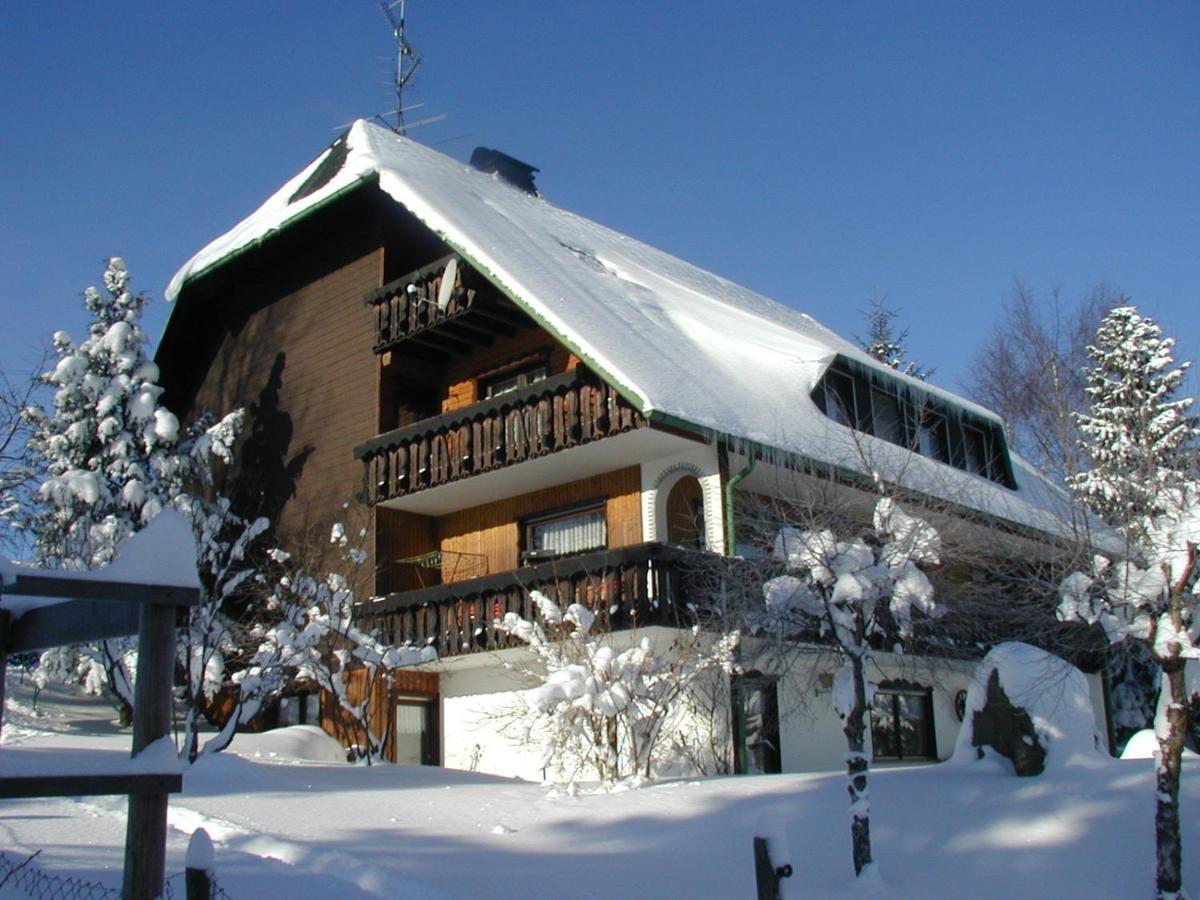Haus Ingeborg Apartment Dachsberg im Schwarzwald Exterior photo